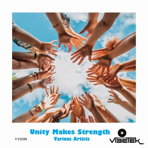 VA - Unity Makes Strength [VT0219]